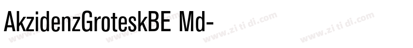 AkzidenzGroteskBE Md字体转换